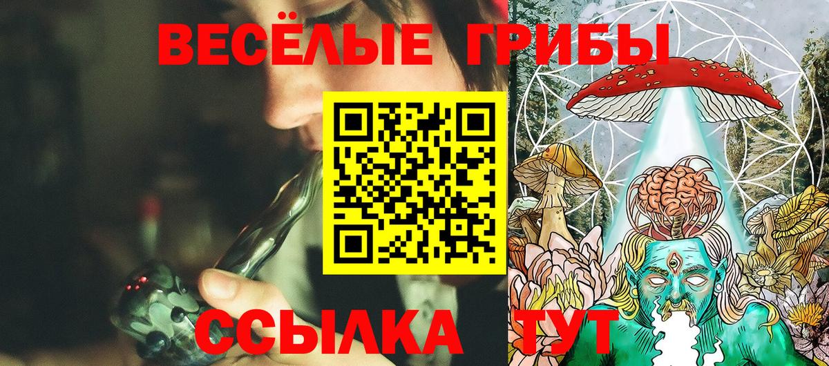 Галлюциногенные грибы MAGIC MUSHROOMS  Вход с VPN  Кубинка  Галлюциногенные грибы Psilocybine cubensis 